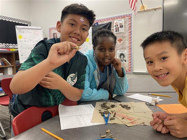 4th Grade Dissecting Owl Pellets