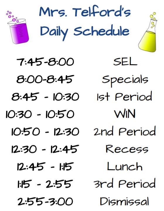 Daily  Schedule
